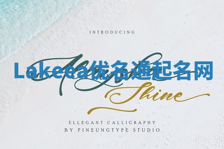 Lakeea优名通起名网