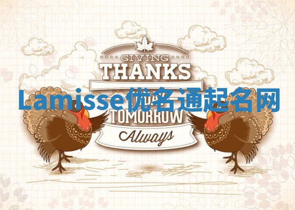 Lamisse优名通起名网