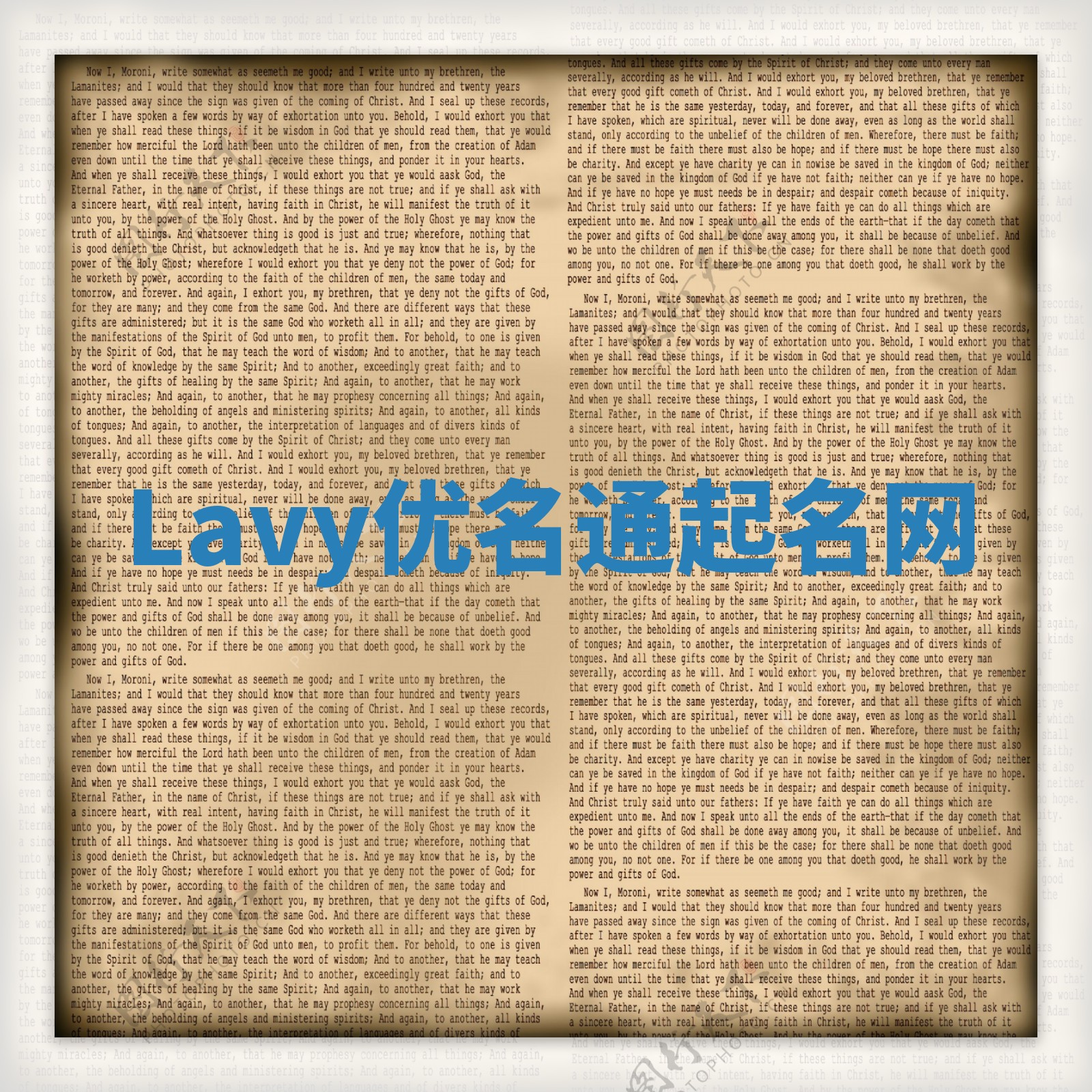 Lavy优名通起名网