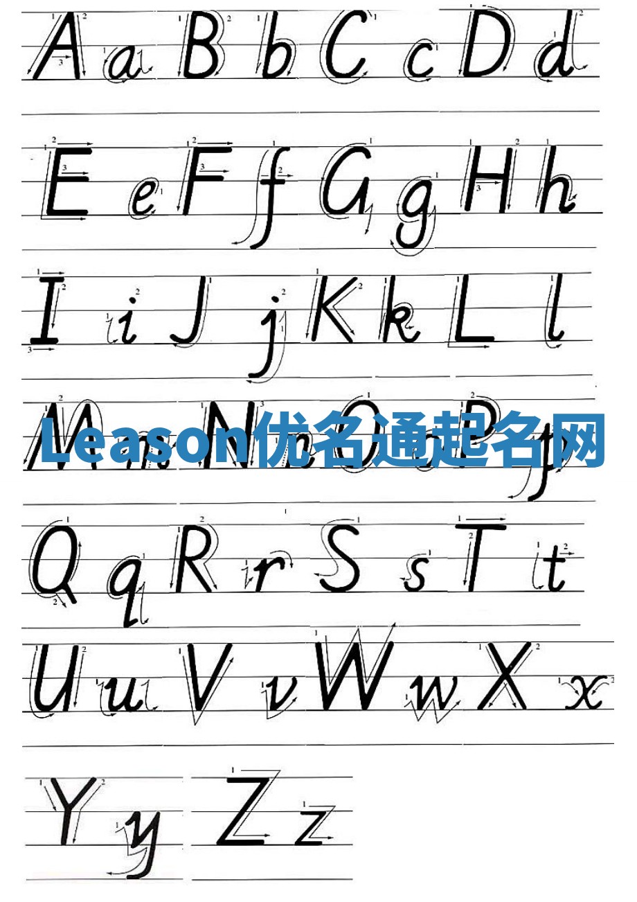 Leason优名通起名网