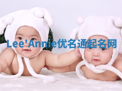 Lee'Annie优名通起名网