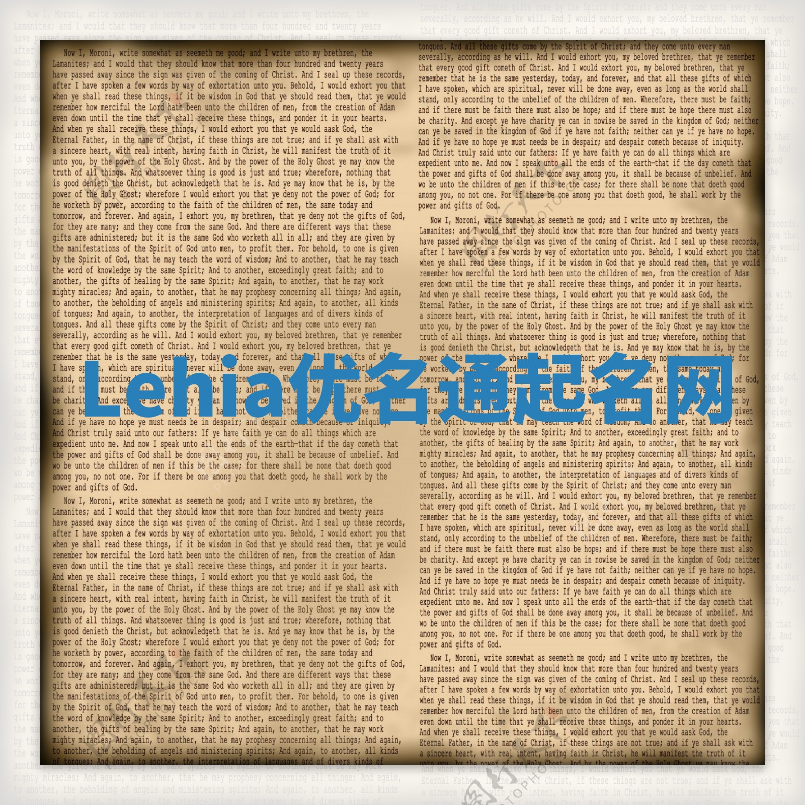 Lehia优名通起名网