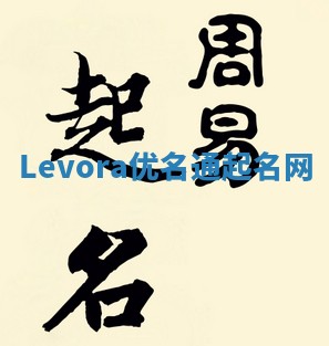 Levora优名通起名网 Levora优名通起名网