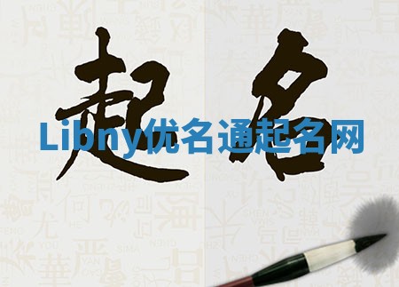 Libny优名通起名网