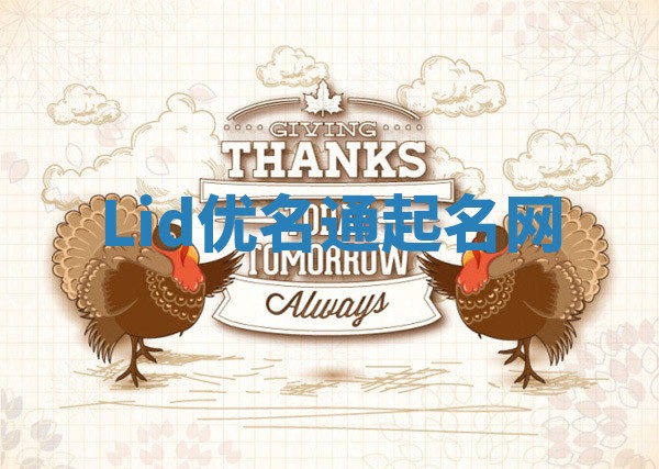 Lid优名通起名网