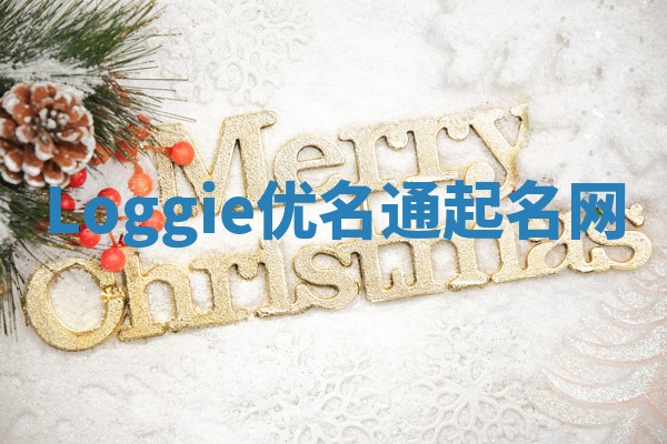 Loggie优名通起名网