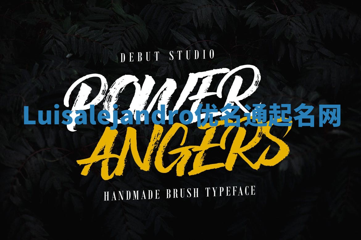 Luisalejandro优名通起名网