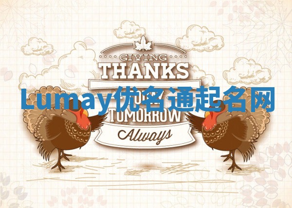 Lumay优名通起名网