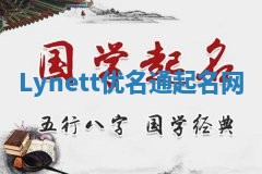 Lynett优名通起名网
