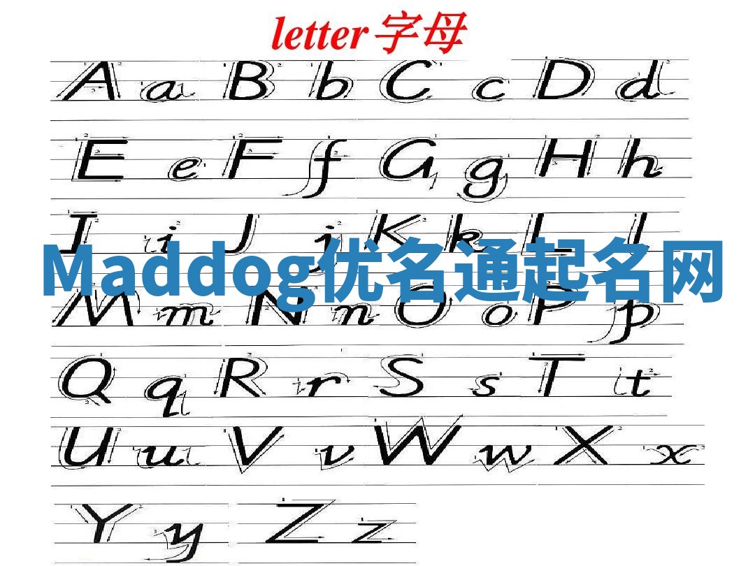 Maddog优名通起名网