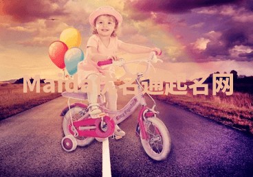 Maida优名通起名网