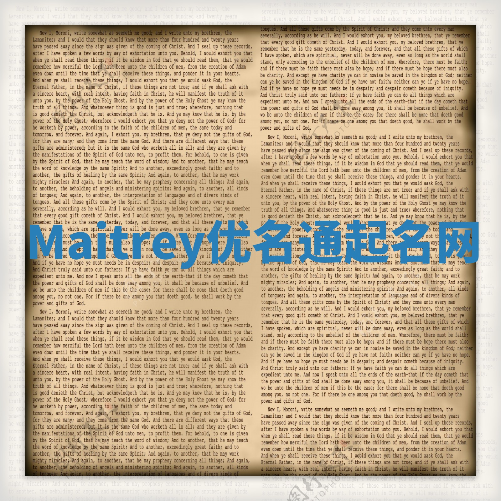 Maitrey优名通起名网