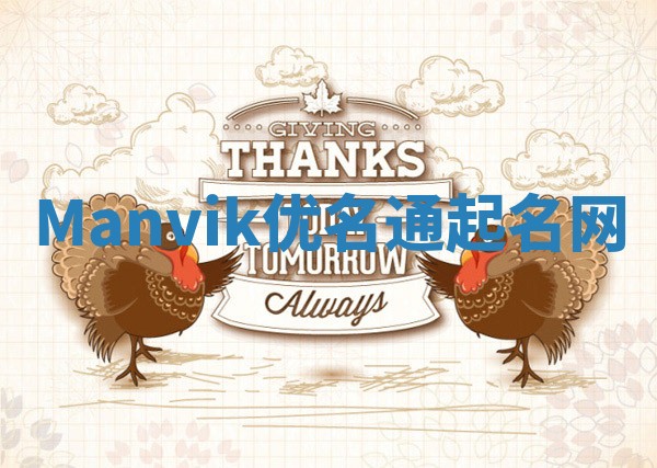 Manvik优名通起名网