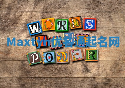 Maxtyn优名通起名网