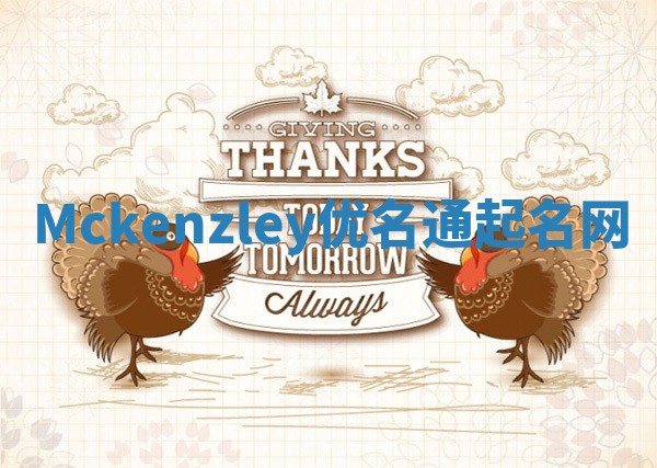Mckenzley优名通起名网