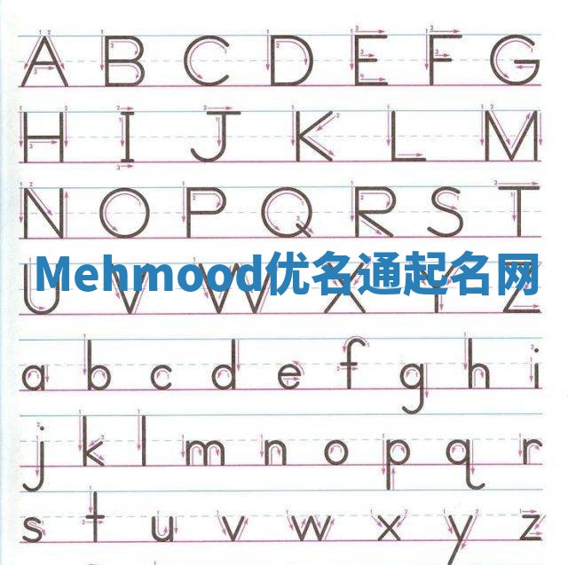 Mehmood优名通起名网