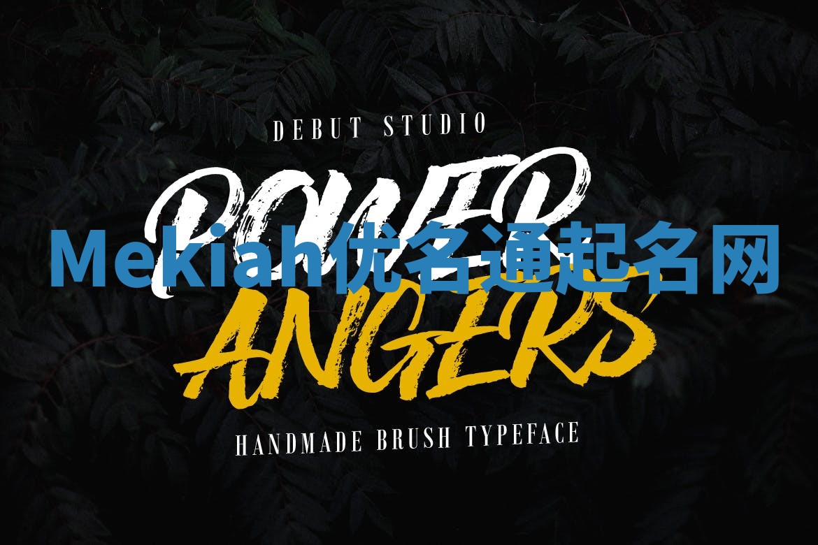 Mekiah优名通起名网 Mekiah优名通起名网