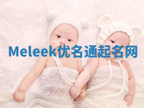 Meleek优名通起名网