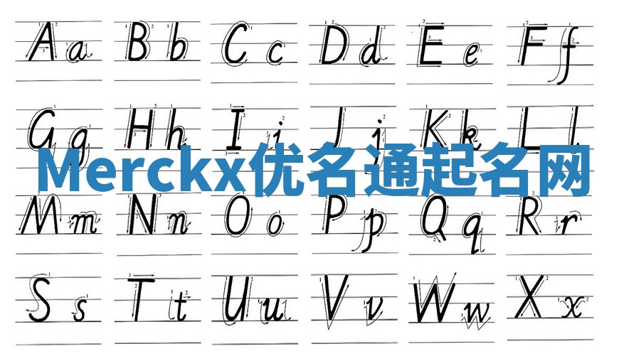 Merckx优名通起名网