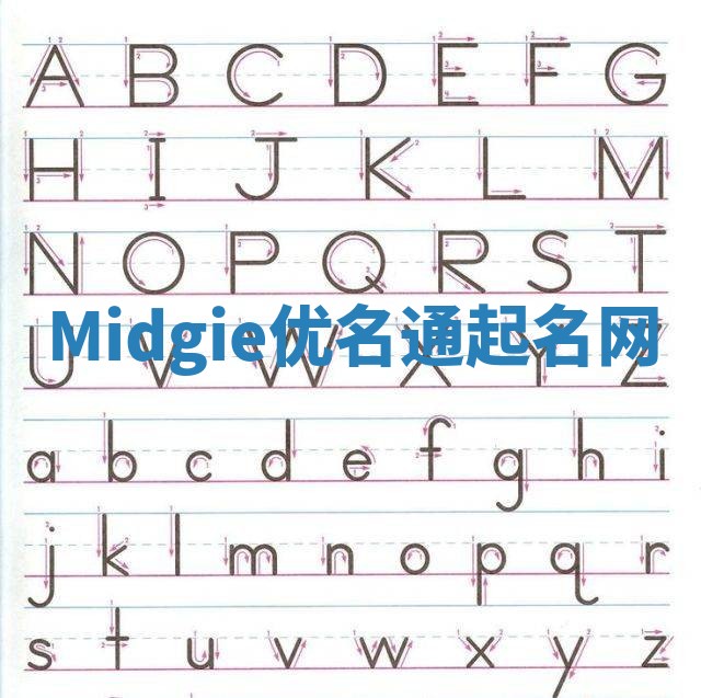 Midgie优名通起名网