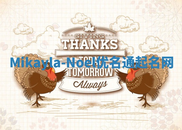 Mikayla-Noel优名通起名网