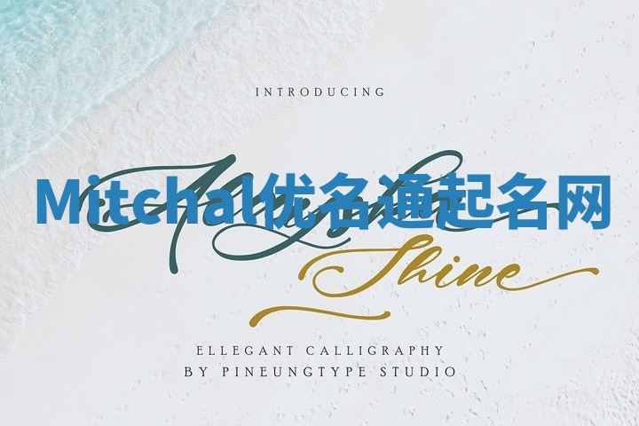 Mitchal优名通起名网