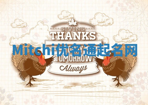 Mitchi优名通起名网