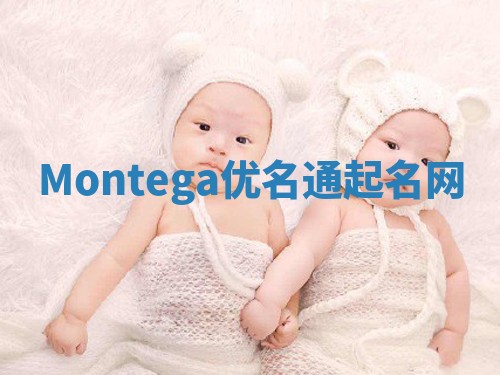 Montega优名通起名网