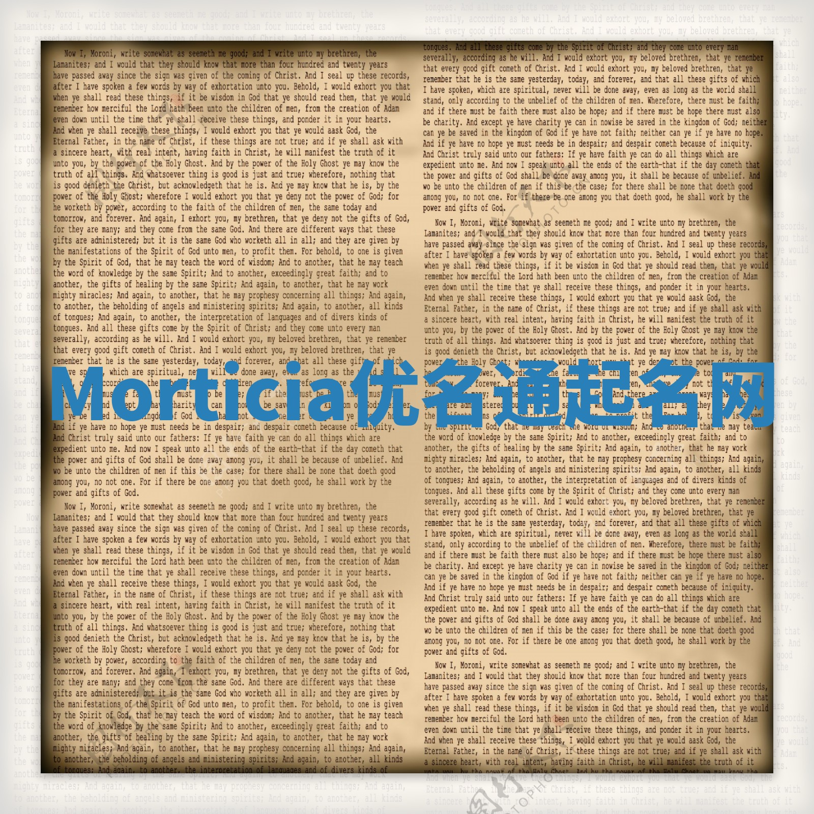 Morticia优名通起名网