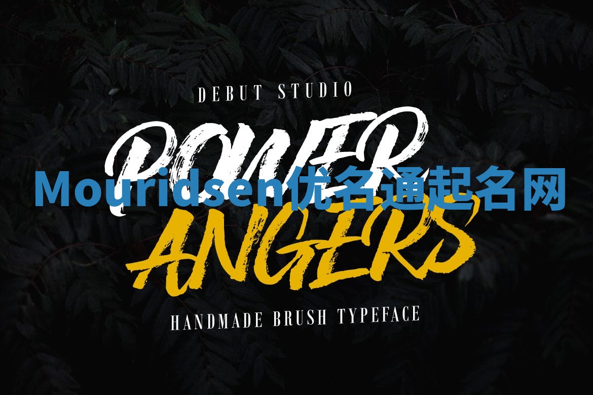 Mouridsen优名通起名网
