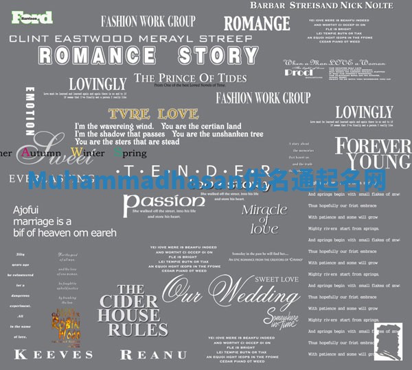 Muhammadhasan优名通起名网