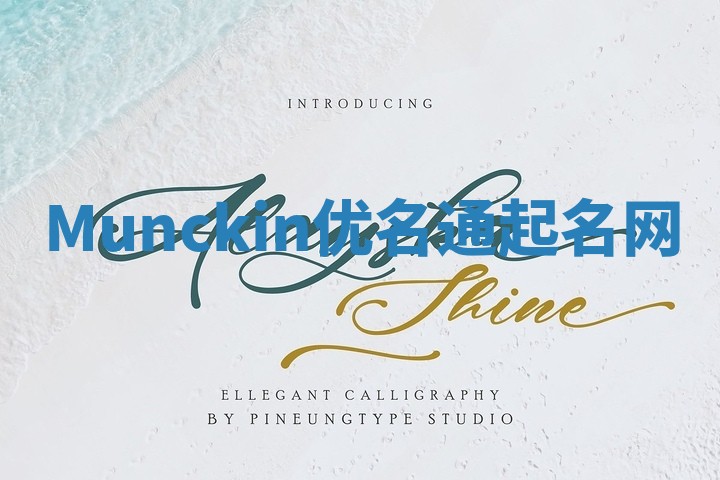 Munckin优名通起名网