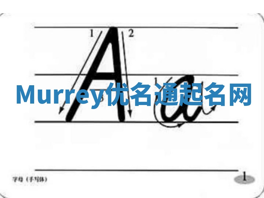 Murrey优名通起名网