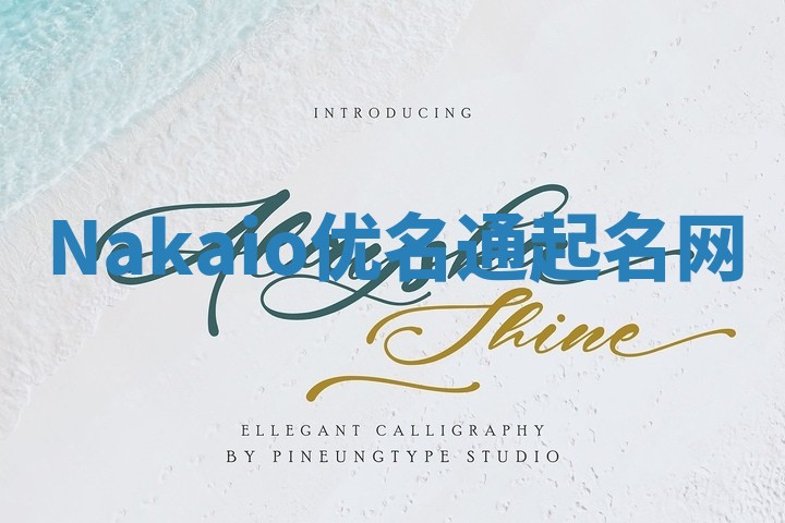 Nakaio优名通起名网
