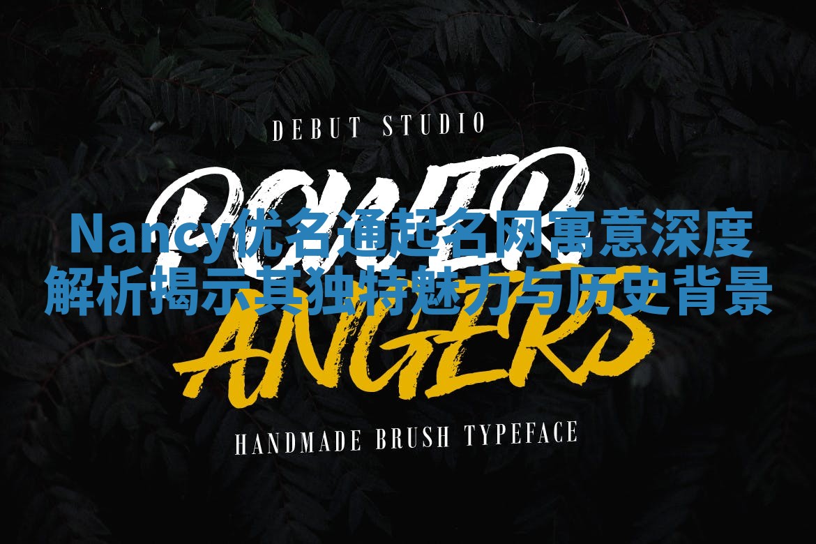 Nancy优名通起名网寓意深度解析揭示其独特魅力与历史背景