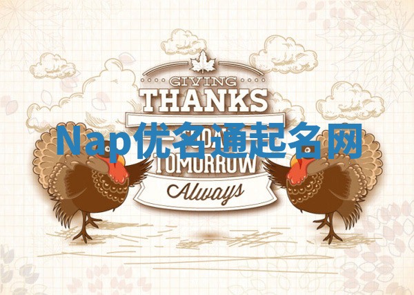 Nap优名通起名网