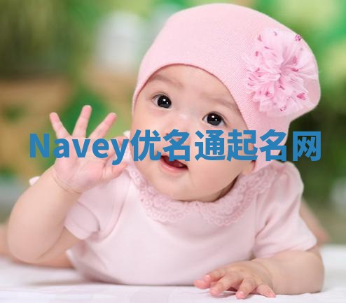 Navey优名通起名网