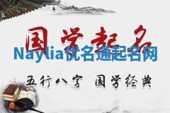 Naylia优名通起名网