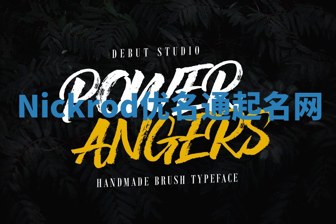 Nickrod优名通起名网