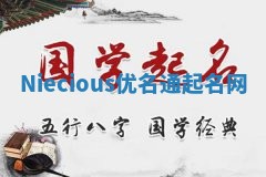 Niecious优名通起名网