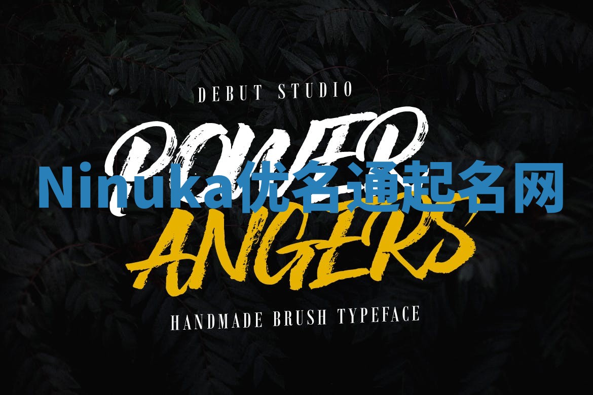 Ninuka优名通起名网