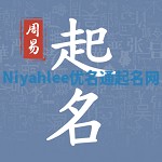Niyahlee优名通起名网