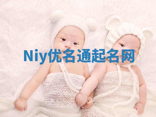 Niy优名通起名网