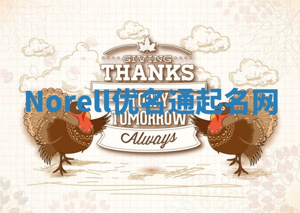 Norell优名通起名网
