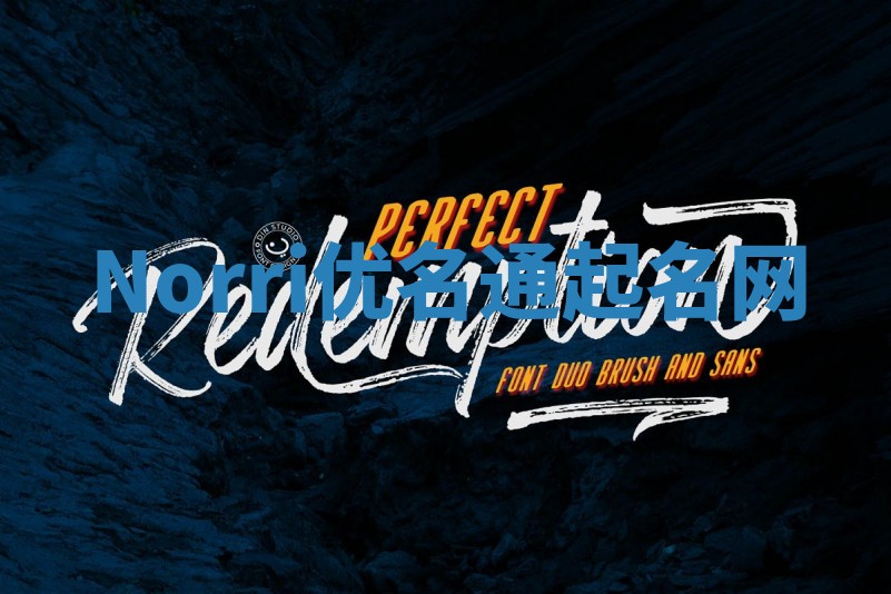 Norri优名通起名网 Norri优名通起名网