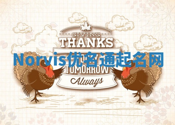 Norvis优名通起名网