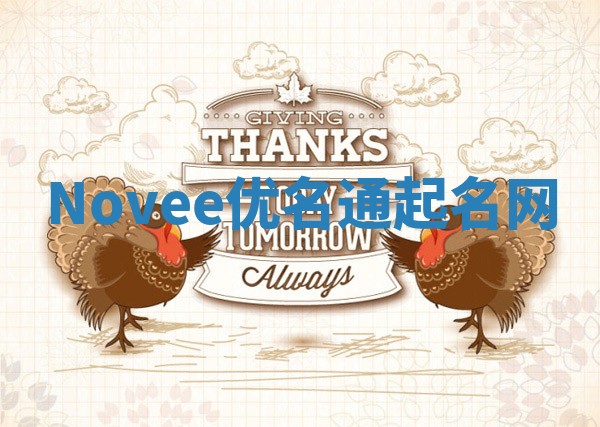 Novee优名通起名网