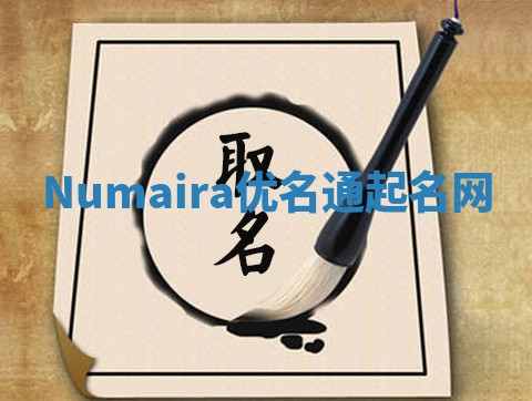 Numaira优名通起名网