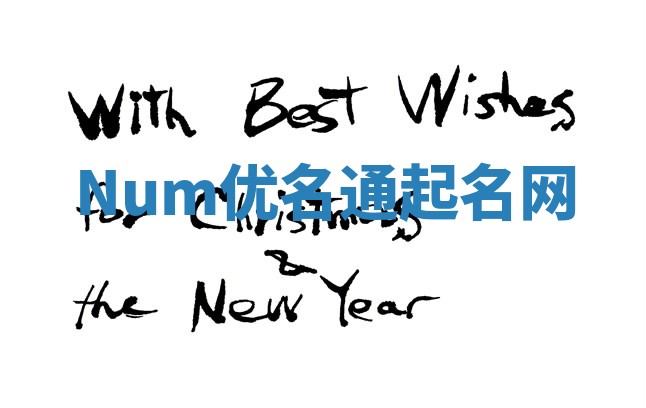 Num优名通起名网