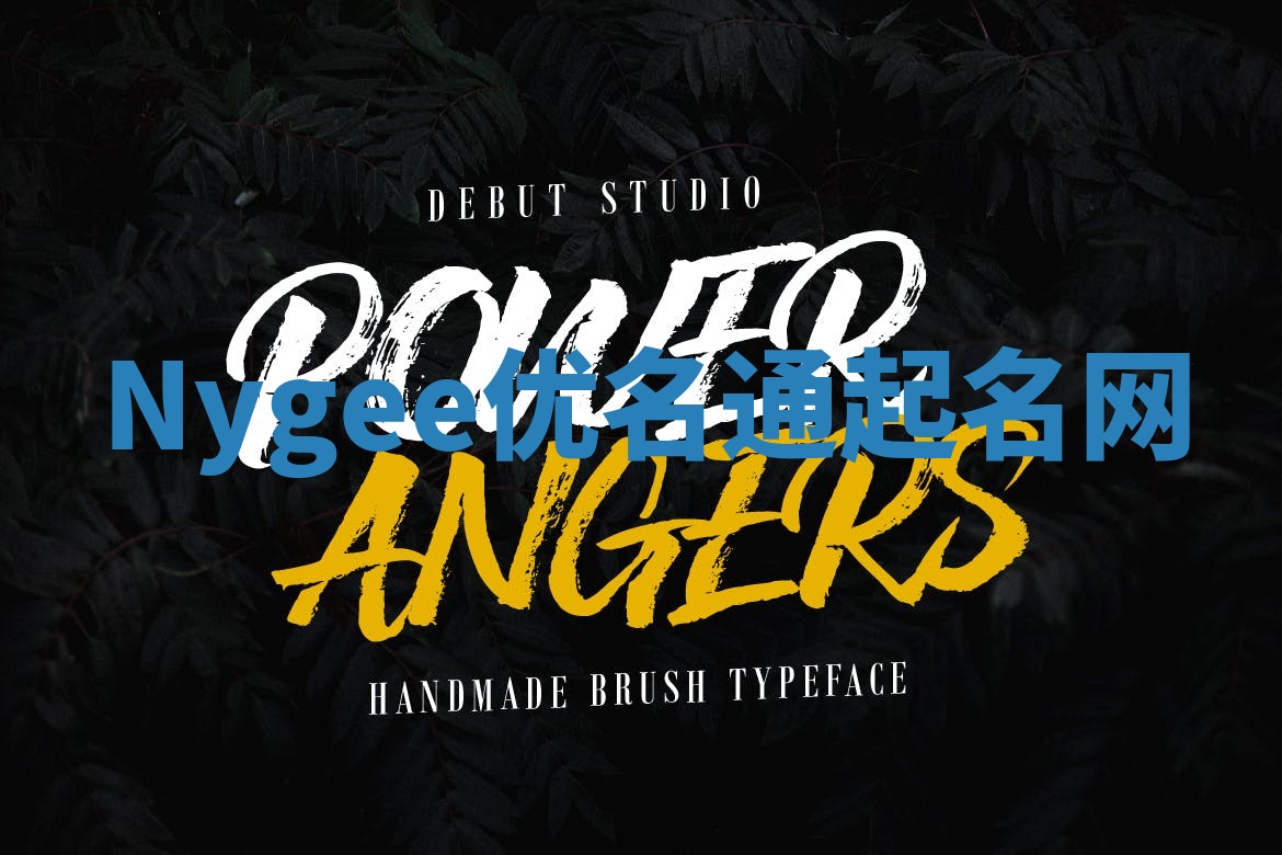 Nygee优名通起名网